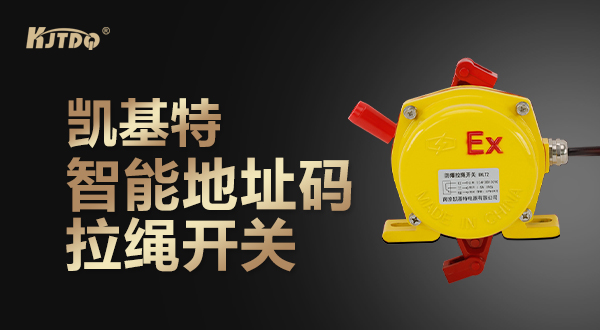 世界杯体育官方网站智能地址码拉绳开关实际应用拍摄